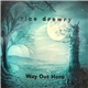 Rice Drewry - Way out Here